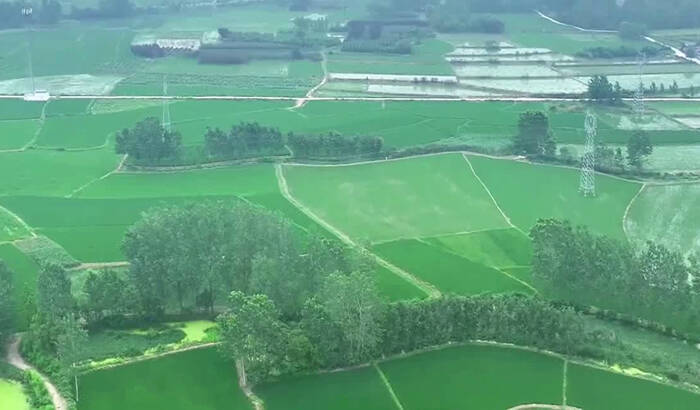 智慧農(nóng)機(jī)助力全縣268萬畝水稻穩(wěn)糧增產(chǎn)